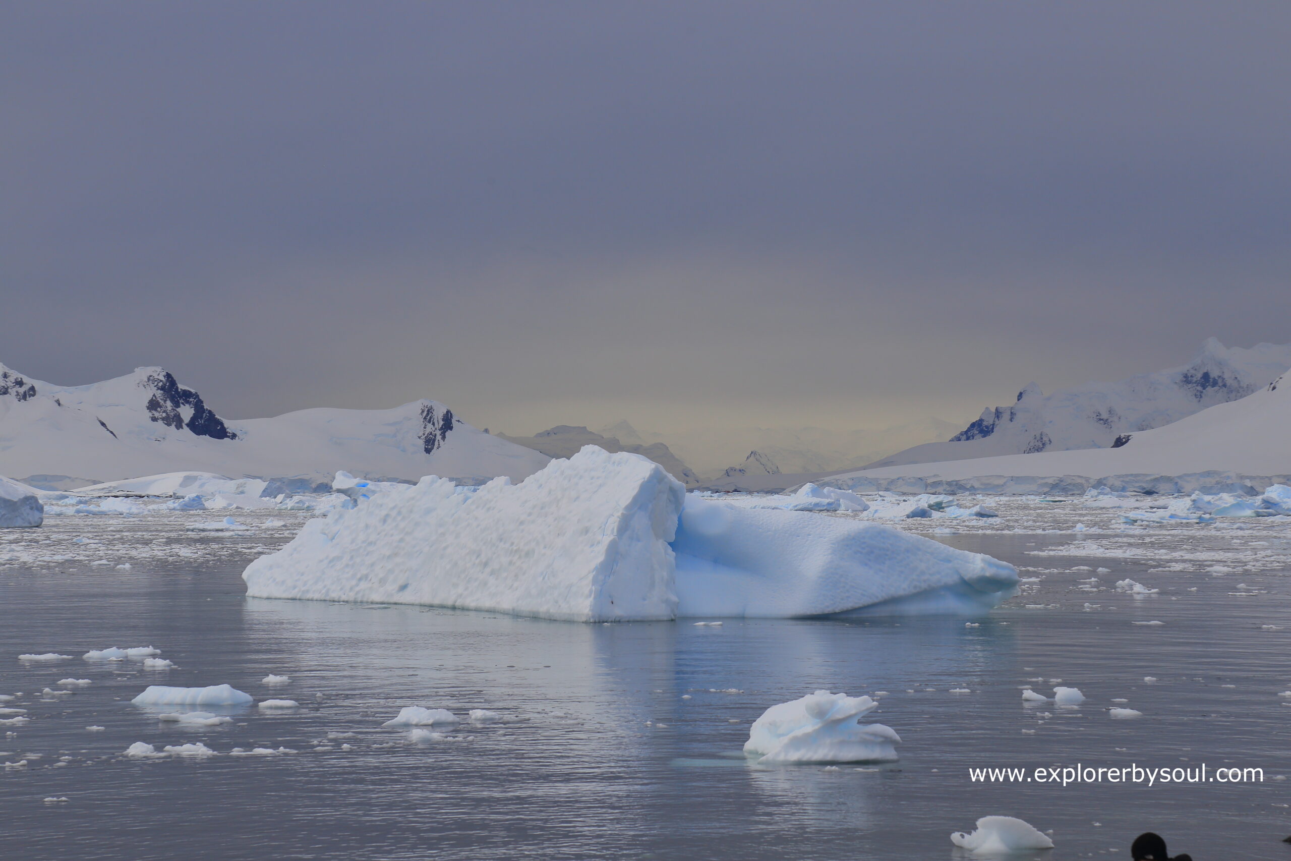 Crossing The Drake Passage- Gateway to Antarctica. – Explorer By Soul